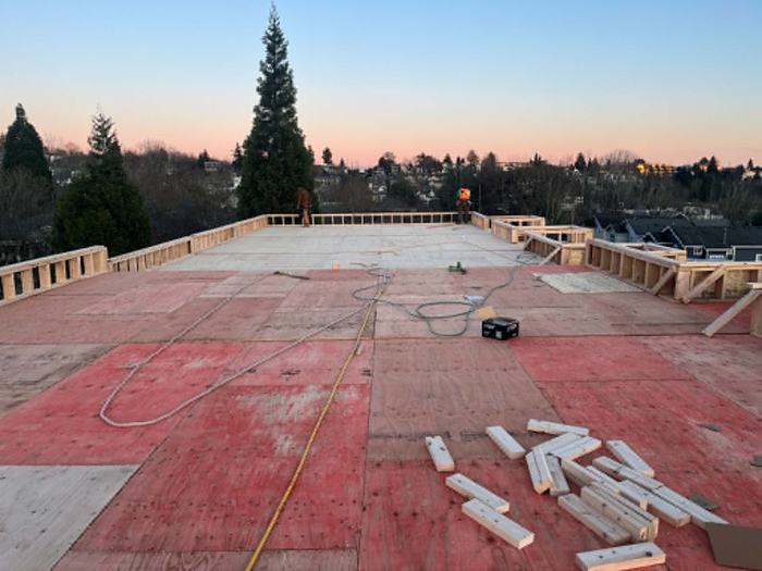 Rooftop deck framed with OSB decking at golden hour, overlooking the neighborhood